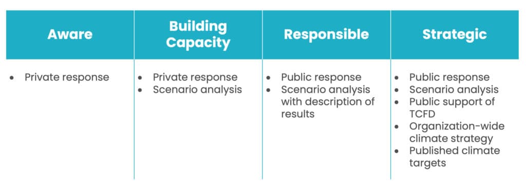 Categories indicating the progress of signatories in implementing TCFD recommendations