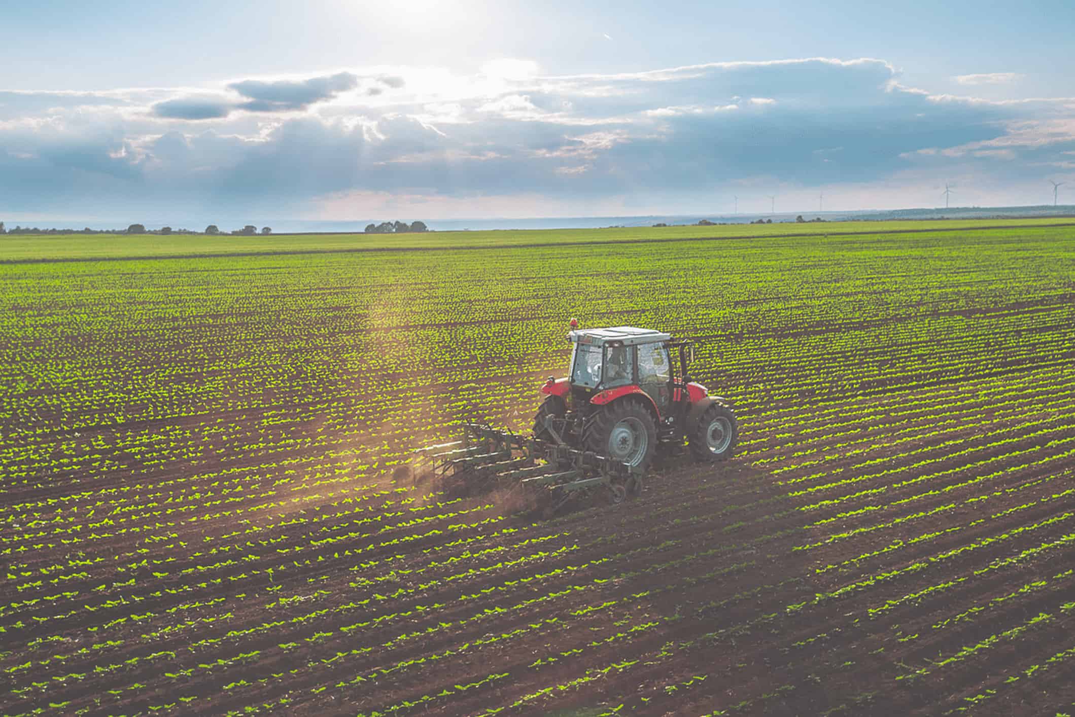 An aerial view of a large agricultural field with rows of crops and a farm vehicle in the background