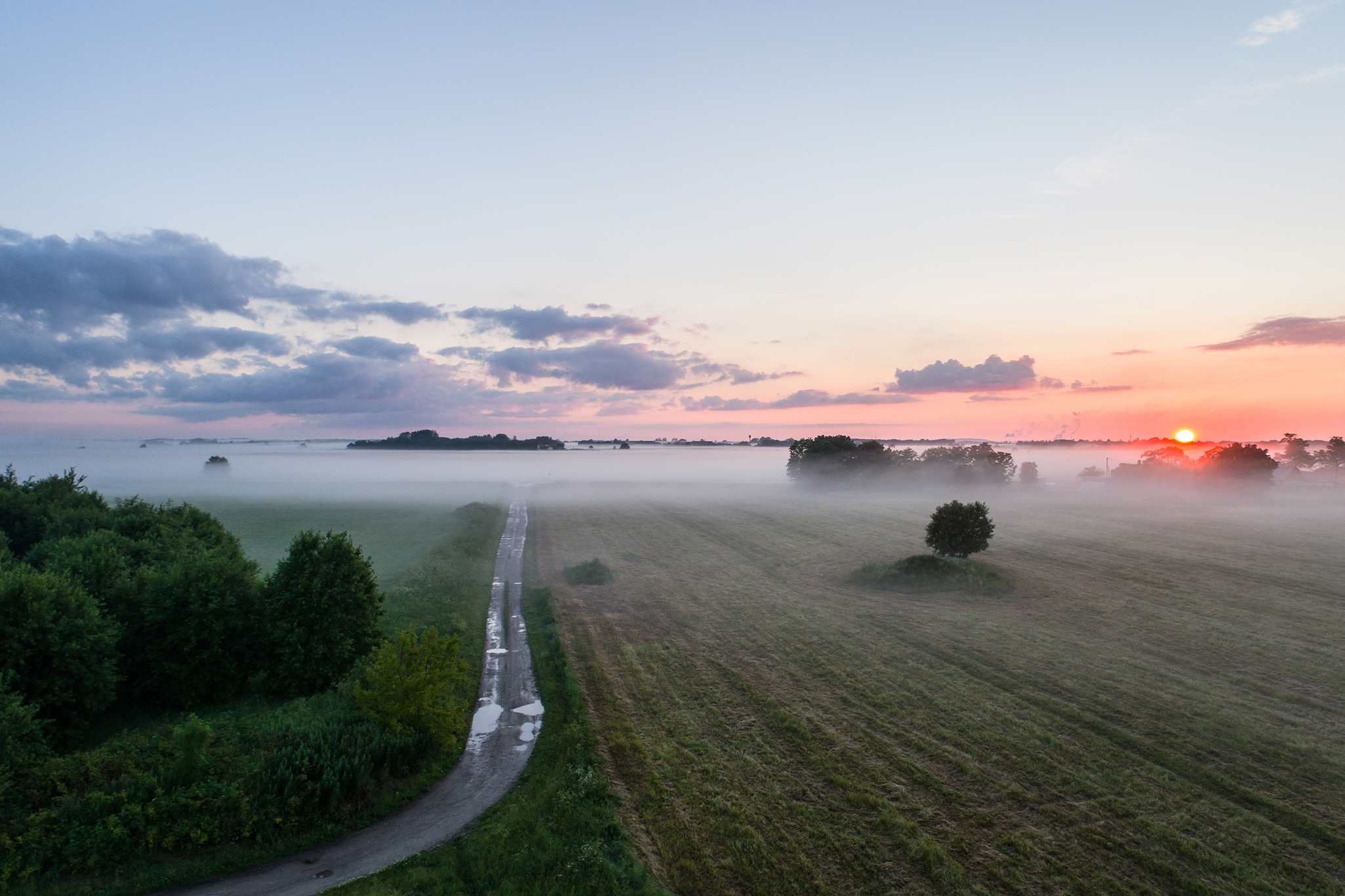 A country road with ground fog.