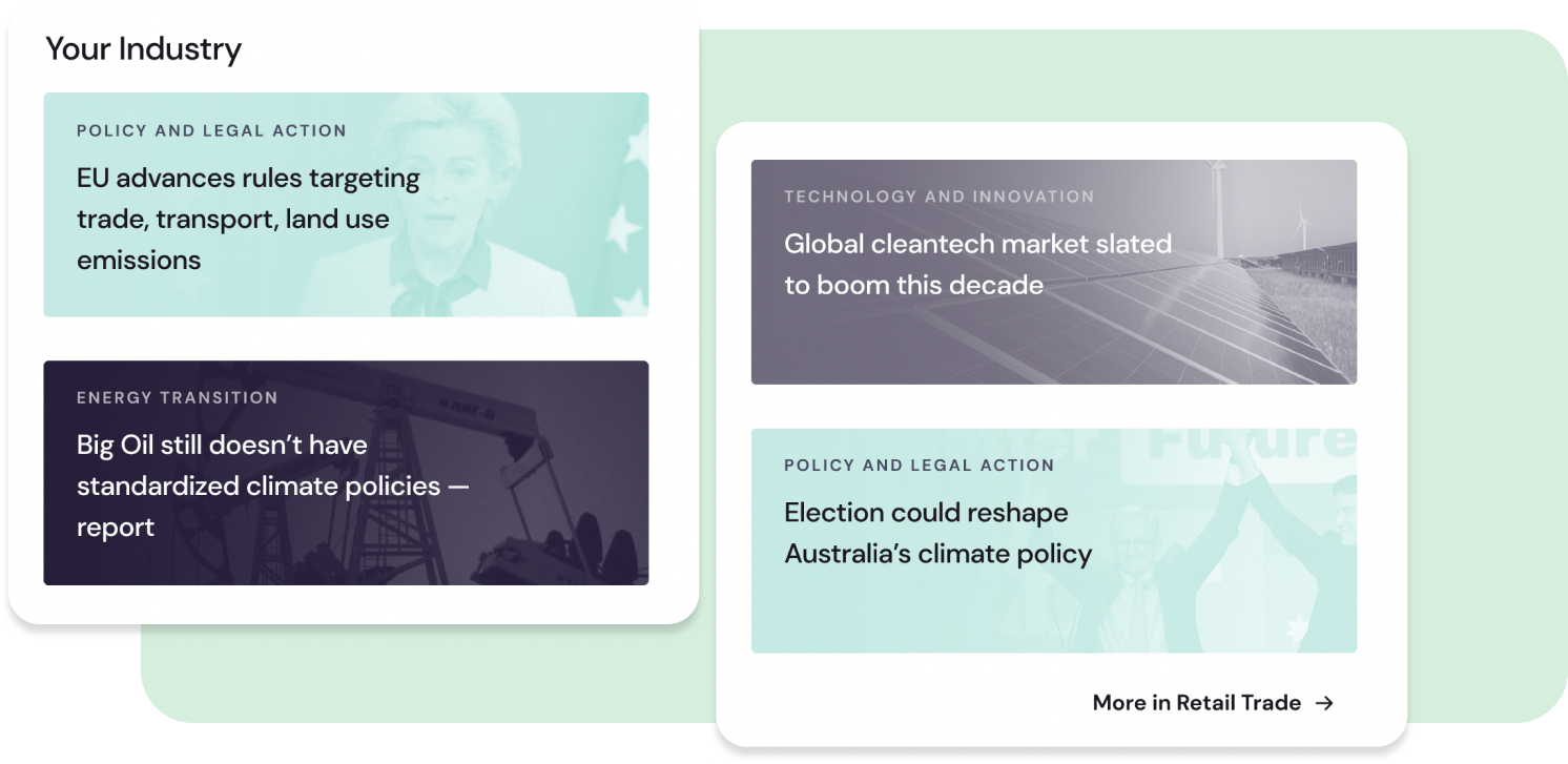 insights insights