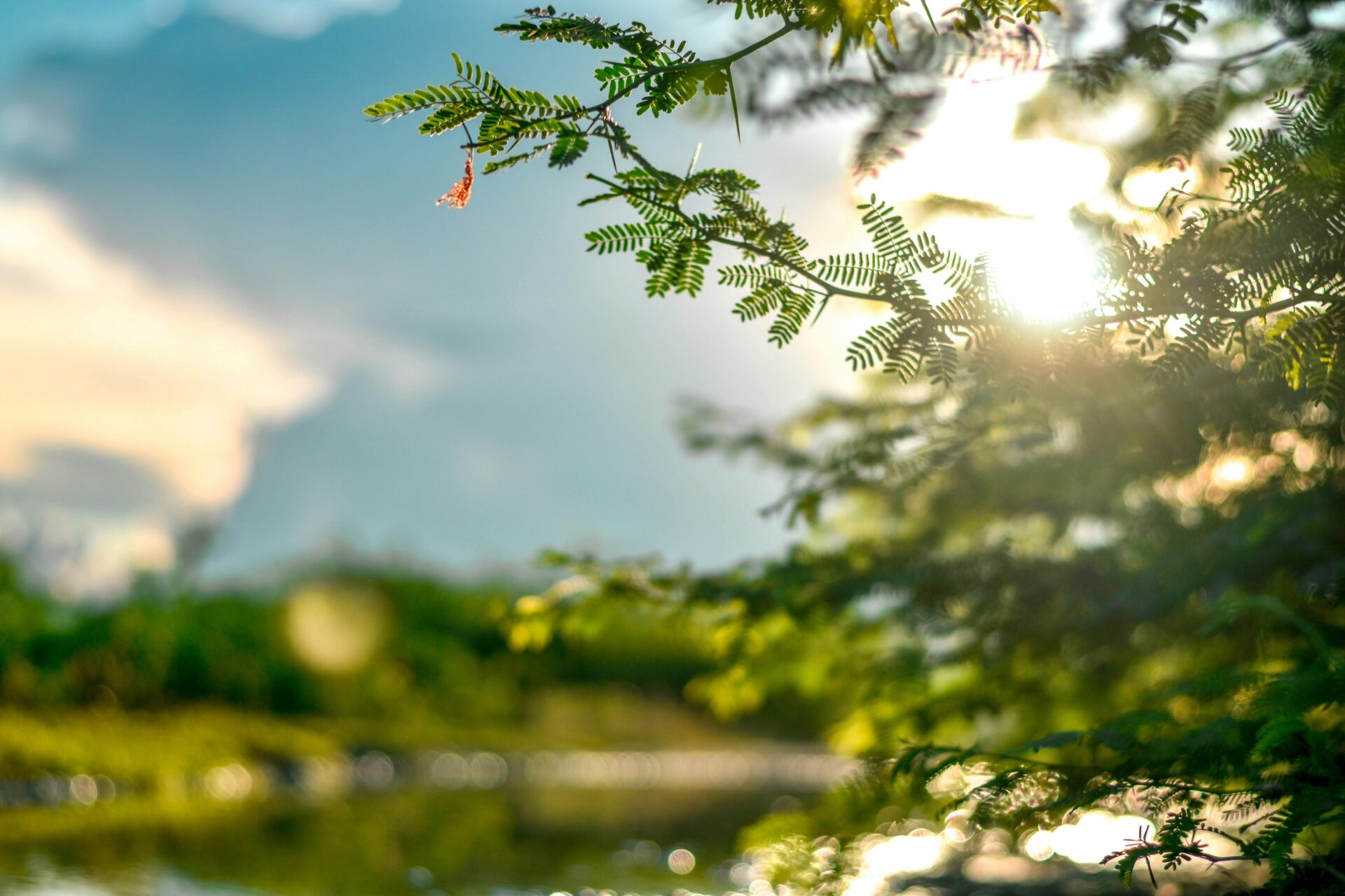 pexels-wisdomsky-1673973