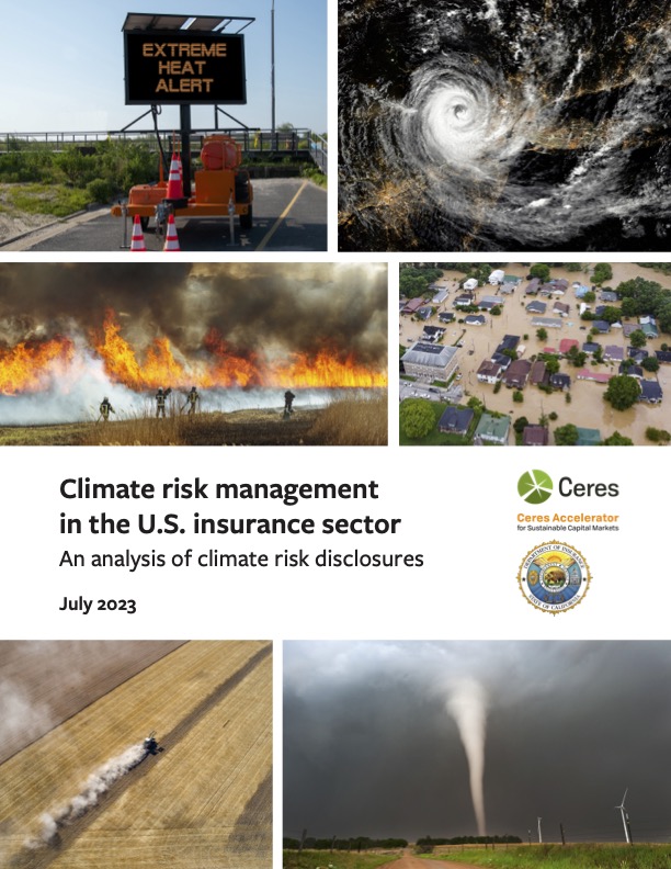 climate-risk-management-in-the-us-insurance-sector