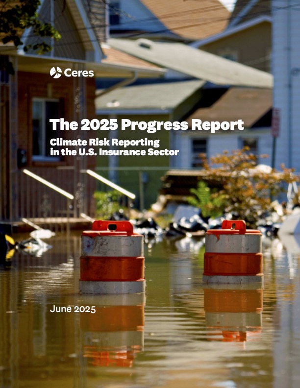 the-2025-progress-report-(1)